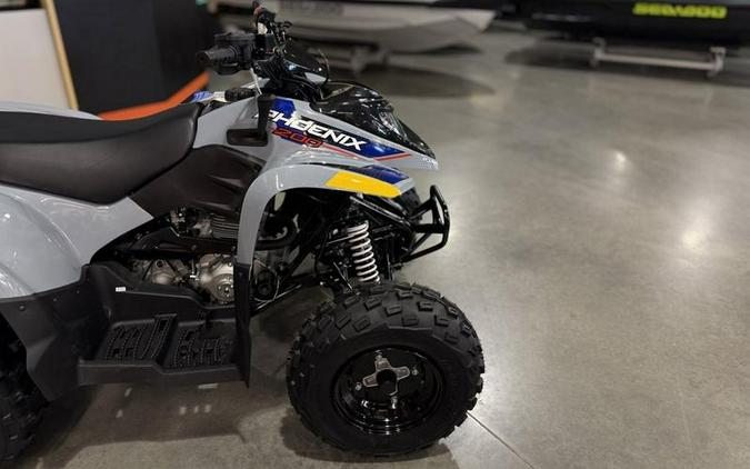2025 Polaris® Phoenix 200