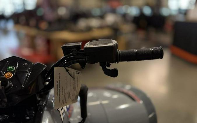 2025 Polaris® Phoenix 200