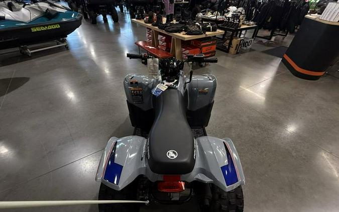 2025 Polaris® Phoenix 200