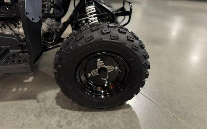 2025 Polaris® Phoenix 200