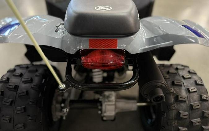 2025 Polaris® Phoenix 200