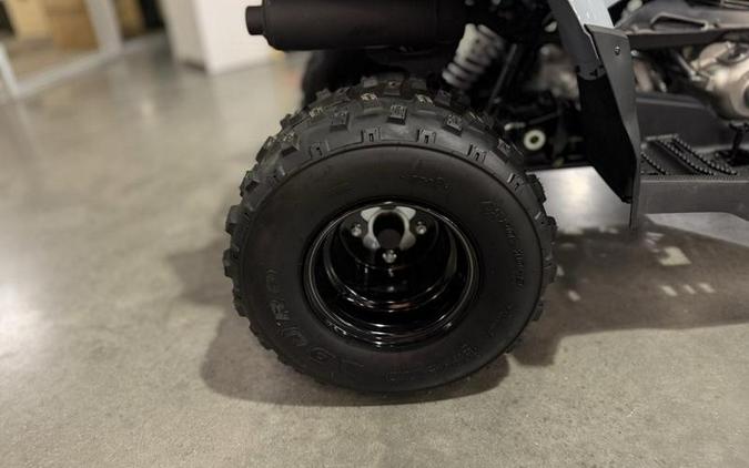 2025 Polaris® Phoenix 200