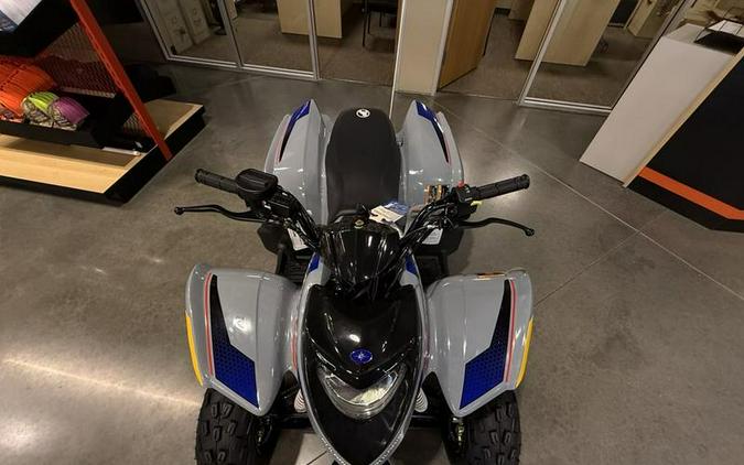 2025 Polaris® Phoenix 200