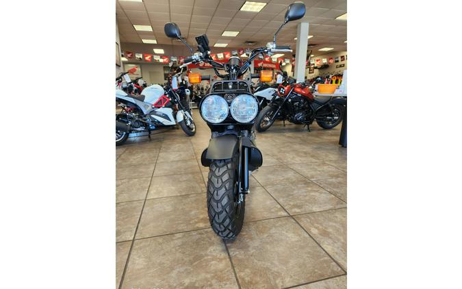 2024 Ruckus - Honda
