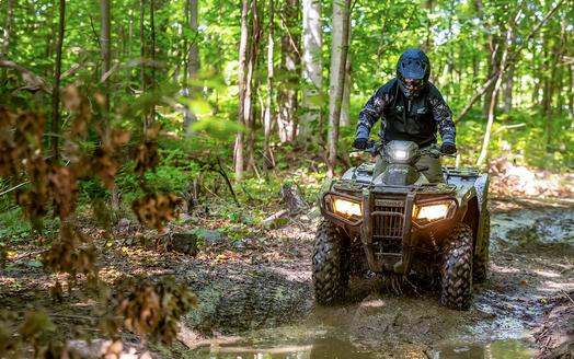 2027 Honda FourTrax Rubicon 700 4x4 Automatic