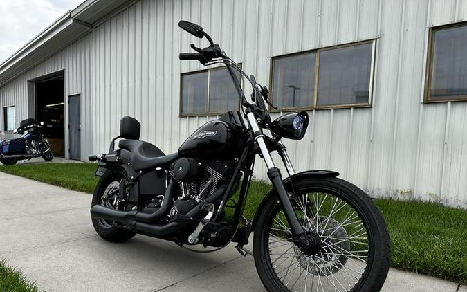 2009 Harley-Davidson® FXSTB - Night Train™