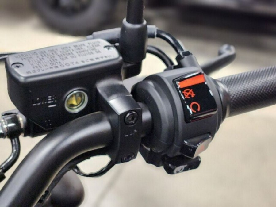 2024 Honda Rebel 500 Base