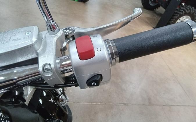 2025 Suzuki Boulevard M109R