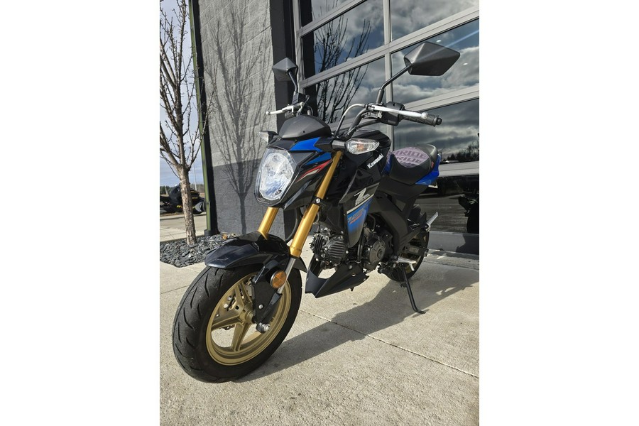 2018 Kawasaki Z125 PRO Base
