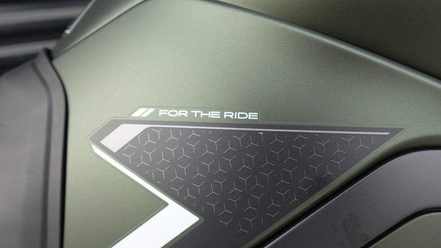 2025 Triumph Tiger 900 Rally Pro