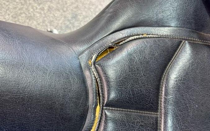 2006 Honda® Gold Wing Premium Audio