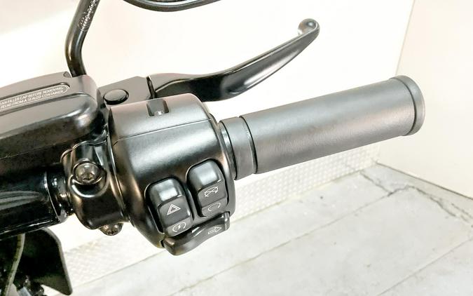 2023 Harley-Davidson Road King® Special