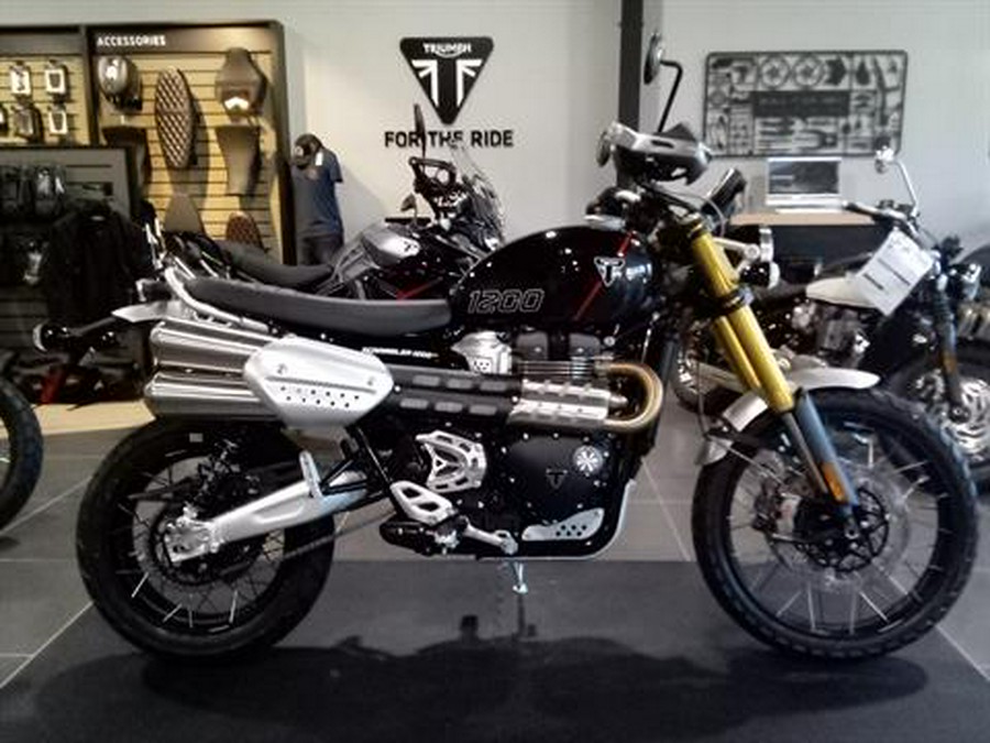 2024 Triumph Scrambler 1200 XE