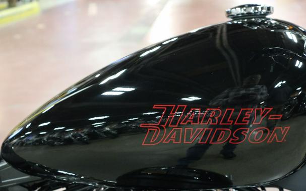 2024 Harley-Davidson Softail® Standard