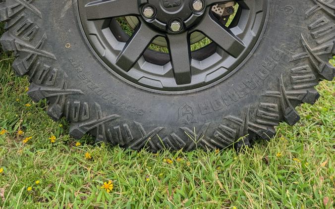 2024 XPEDITION ADV 5 1000 NORTHSTAR - Polaris