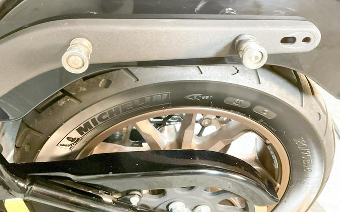 2021 Harley-Davidson Low Rider®S