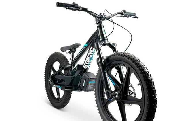 2025 STACYC 20EDRIVE