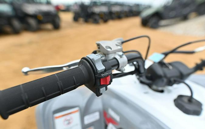 2025 Yamaha Raptor 700 700