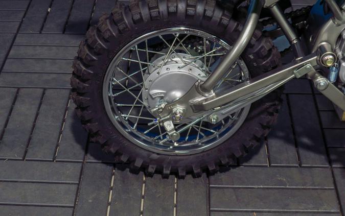 2026 Kawasaki KLX 110R L