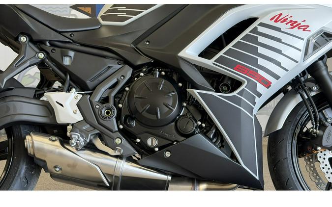 2026 Ninja 650 ABS (EX650PTFAN) - Kawasaki