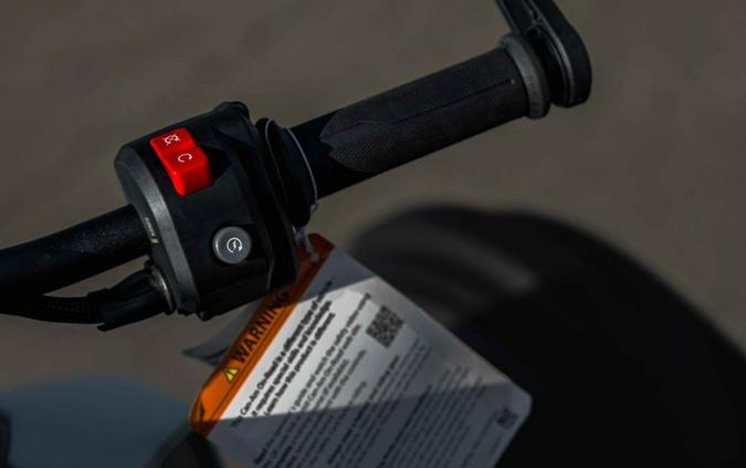 2025 Can-Am Ryker 600 ACE™