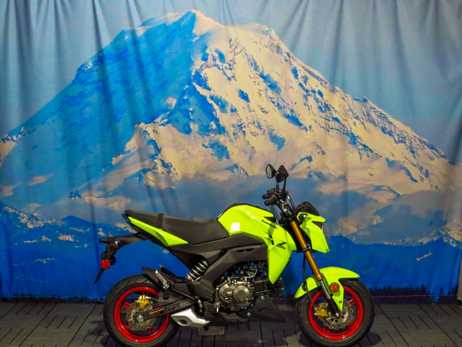 2026 Kawasaki Z125 PRO