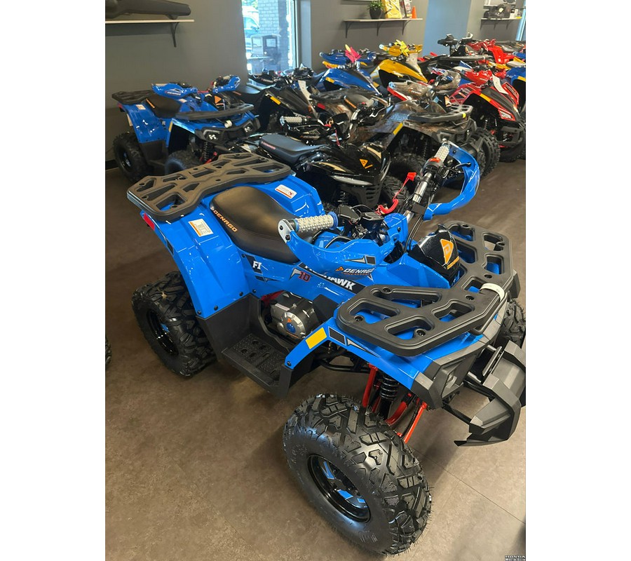 2026 Denago Powersports Mudhawk 10 FI