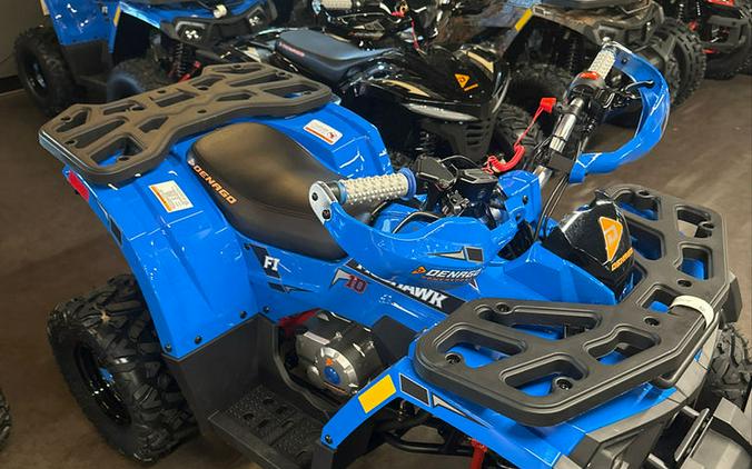 2026 Denago Powersports Mudhawk 10 FI