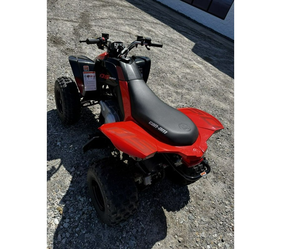 2024 Can-Am™ DS 250