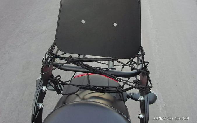 2024 Kawasaki Vulcan® S