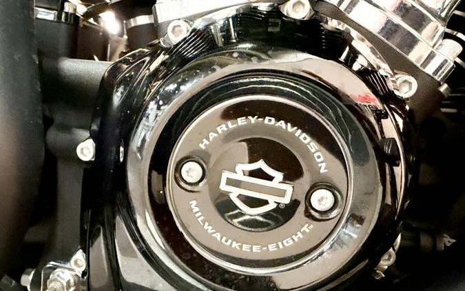 2019 Harley-Davidson Road King® Special