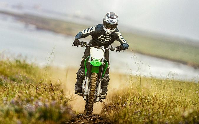 2021 Kawasaki KLX 230R S