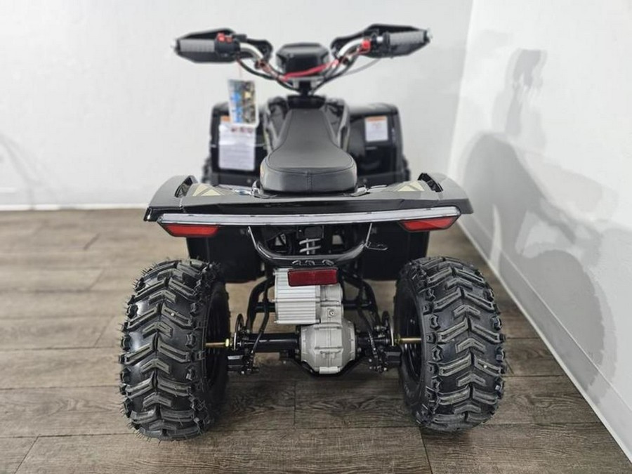 2026 Denago Powersports E-Hawk 6