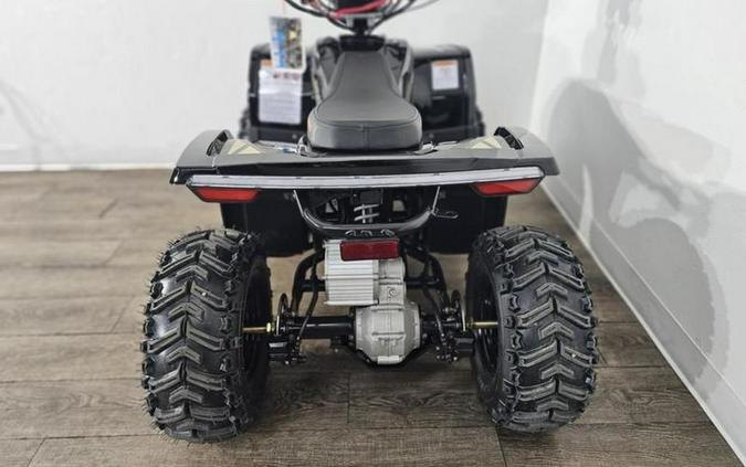 2026 Denago Powersports E-Hawk 6