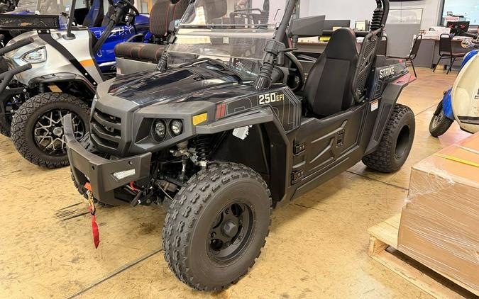 2023 Hisun Motors Strike 250R