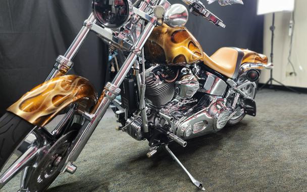 2006 Harley-Davidson® FXST-Softail