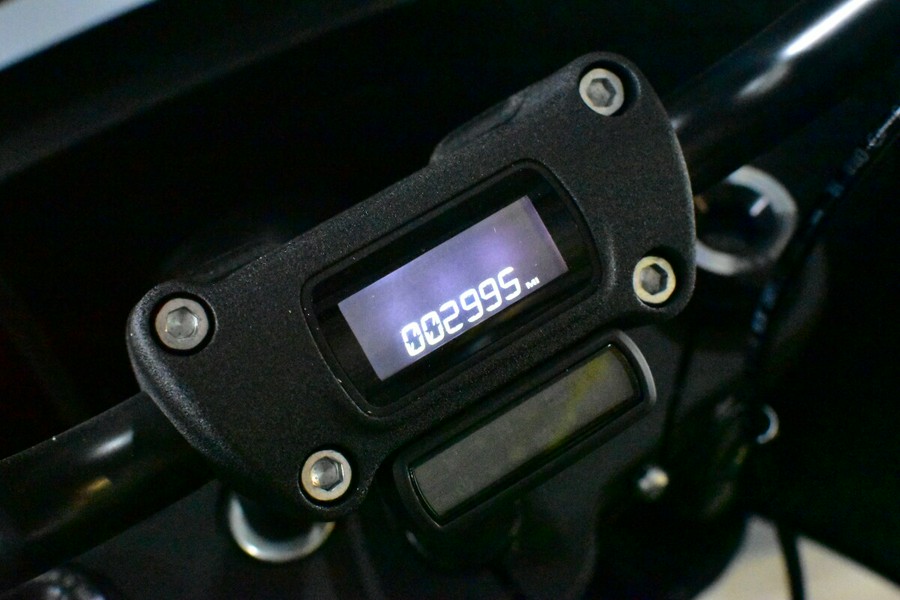 2024 Harley-Davidson Low Rider ST