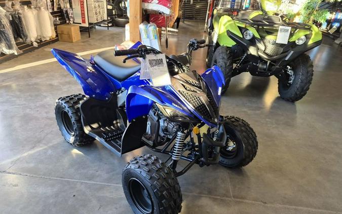 2026 Yamaha Raptor 110