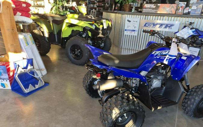 2026 Yamaha Raptor 110