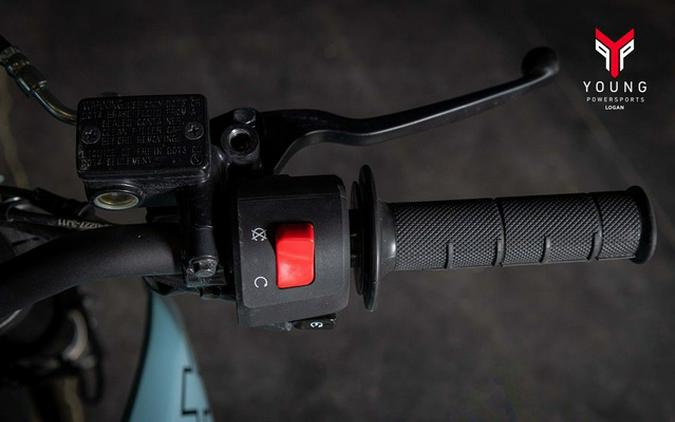 2024 Kawasaki KLX 300SM