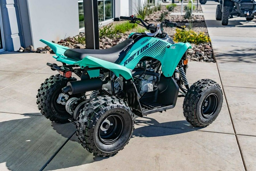 2025 Yamaha Raptor 110