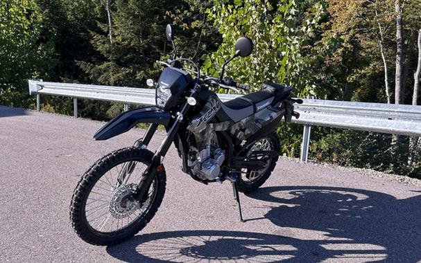 2026 Kawasaki KLX 300