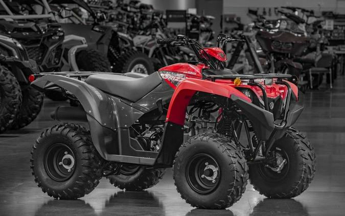 2025 Yamaha Grizzly 110