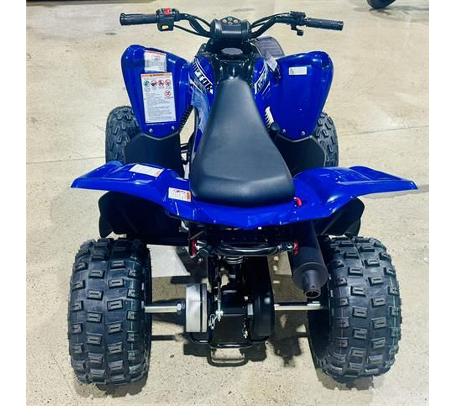 2026 Yamaha Raptor 110