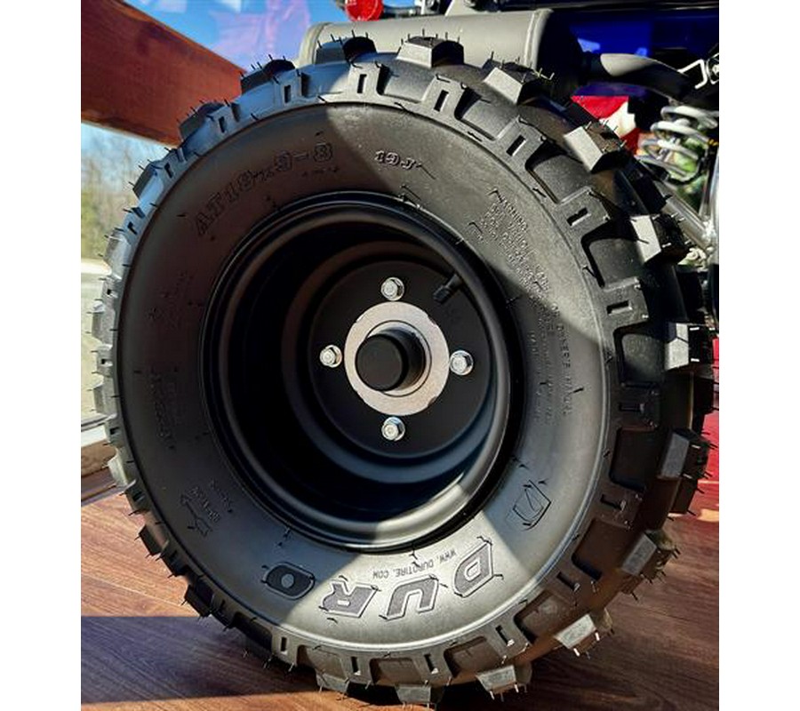 2026 Yamaha Raptor 110