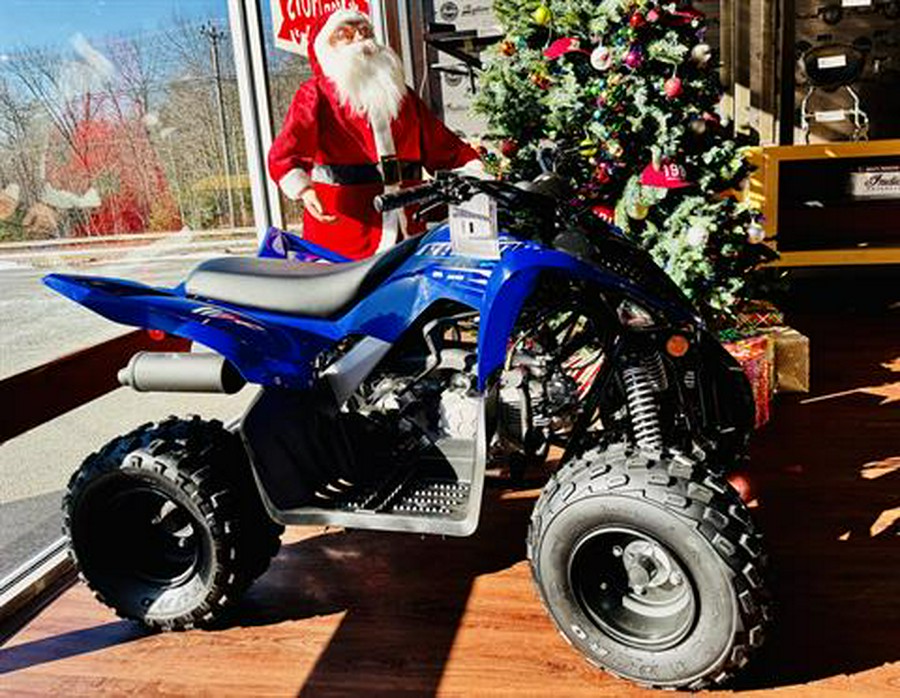 2026 Yamaha Raptor 110