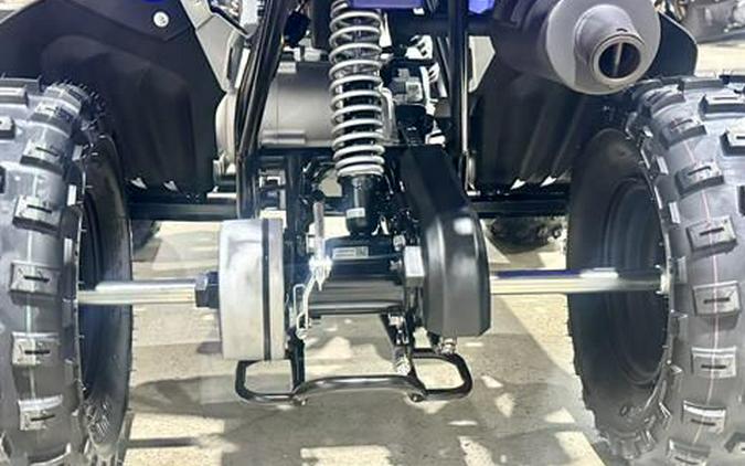 2026 Yamaha Raptor 110