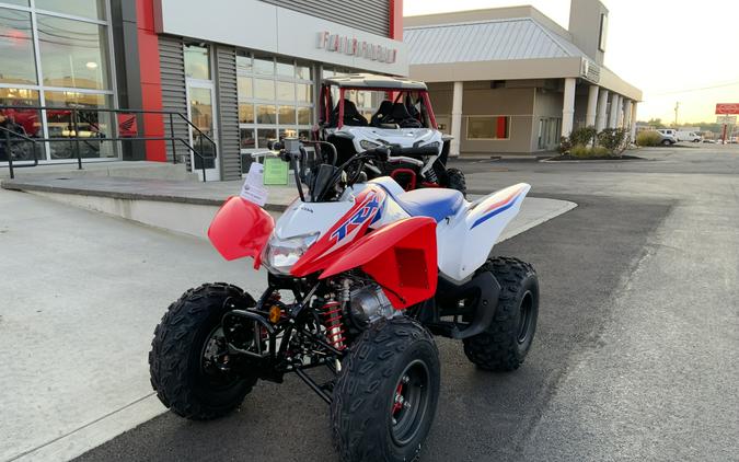 2026 Honda TRX250X