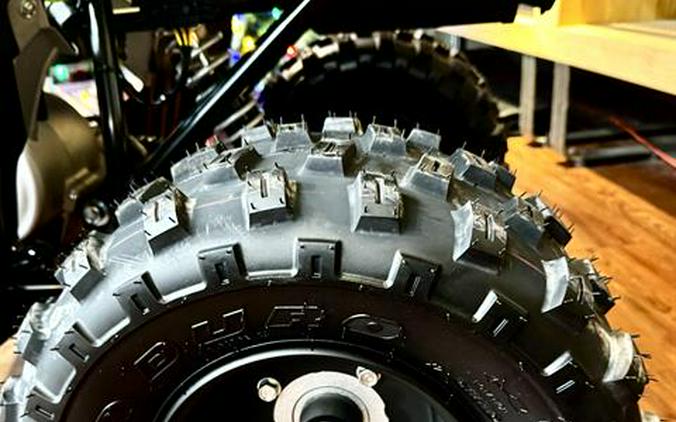 2026 Yamaha Raptor 110