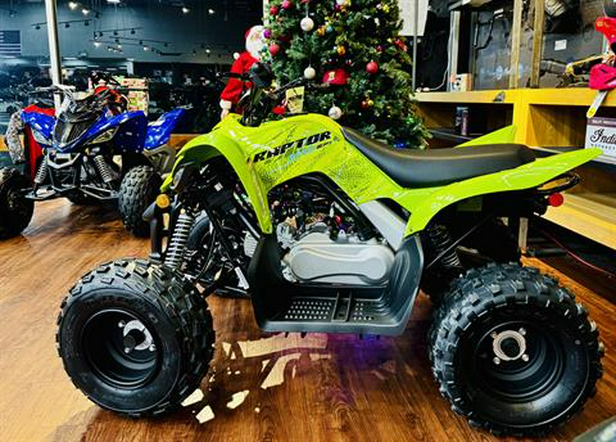 2026 Yamaha Raptor 110